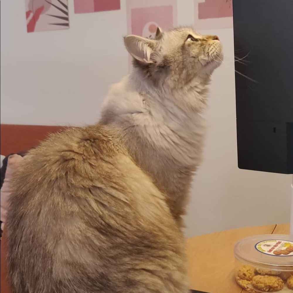 Meet your Posher, Marilyn